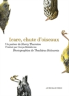 Image for Icare, chute doiseaux