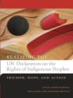Image for Realizing the UN Declaration on the Rights of Indigenous Peoples : Triumph, Hope, and Action