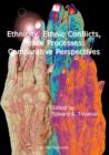 Image for Ethnicity, Ethnic Conflicts, Peace Processes