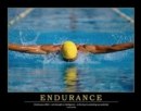 Image for Endurance Poster