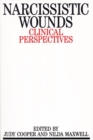 Image for Narcissistic wounds  : clinical perspectives
