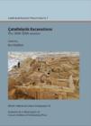 Image for Catalhoeyuk Excavations: the 2000-2008 seasons