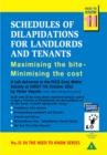Image for Schedules of Dilapidations : Maximising the Bite - Minimising the Cost