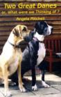 Image for Two Great Danes : or What Were We Thinking Of?