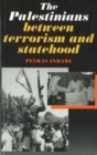 Image for Palestinians between Terrorism and Statehood