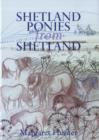 Image for Shetland ponies from Shetland