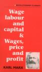 Image for Wage, Labour and Capital / Wages, Price and Profit
