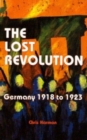 Image for The lost revolution