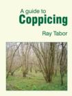 Image for A guide to coppicing