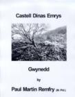 Image for Castell Dinas Emrys, Gwynedd