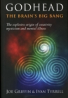 Image for Godhead  : the brain&#39;s big bang