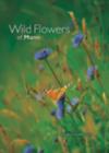 Image for Wildflowers of Mann
