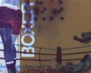 Image for Boxer : An Anthology of Writings on Boxing and Visual Culture