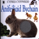 Image for Cyfres Cyffwrdd : Anifeiliaid Bychain