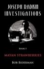 Image for Joseph Radkin Investigations - Book 5 : Mayan Strawberries : Book 5