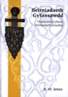 Image for Beirniadaeth Gyfansawdd - Fframwaith Cyflawn Beirniadaeth Lenyddol