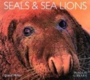 Image for Seals &amp; sea lions