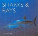 Image for Sharks &amp; rays