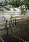Image for Wetlands of Ireland  : distribution, ecology, uses and economic value