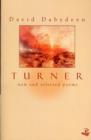 Image for Turner  : new and selected poems