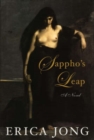 Image for Sappho&#39;s leap  : a novel