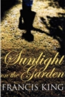 Image for The sunlight on the garden  : stories