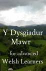 Image for Dysgiadur Mawr