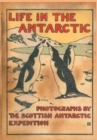 Image for LIFE IN THE ANTARCTIC