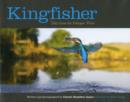 Image for Kingfisher  : tales from the Halcyon River