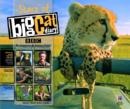 Image for Stars of Big Cat Diary