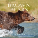 Image for Brown bears