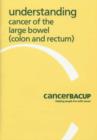 Image for Understanding Cancer of the Large Bowel (Colon and Rectum)