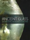 Image for Ancient glass in National Museums Scotland