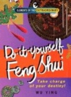Image for Do-it-yourself Feng Shui  : take charge of your destiny!