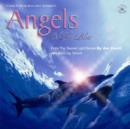 Image for Angels of the Blue