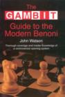 Image for The GAMBIT Guide to the Modern Benoni