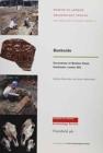 Image for Bankside : Excavations at Benbow House, Southwark, London, SE1