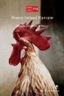 Image for Poetry Ireland Review 104