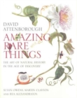 Image for Amazing Rare Things
