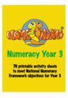 Image for Homeworms for Numeracy: Year 3