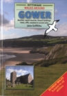 Image for Walks Around Gower : Beaches, Nature Reserves, Historic Buildings, Views, Cliffs, Meadows &amp; Ancient Sites