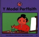 Image for Y Model Perffaith