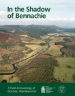 Image for In the shadow of Bennachie  : a field archaeology of Donside, Aberdeenshire