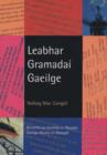 Image for Leabhar Gramadai Gaelige