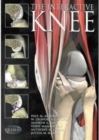 Image for Interactive Knee