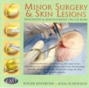 Image for Minor Surgery And Skin Lesions
