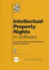 Image for Intellectual property rights in software  : a practical guide for professionals &amp; business managers