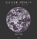 Image for Silver pixels  : an introduction to the digital darkroom