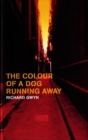 Image for The Colour of a Dog Running Away