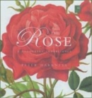 Image for The rose  : the fine art of cultivation